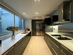 Tanglin Road (D10), Condominium #486449251